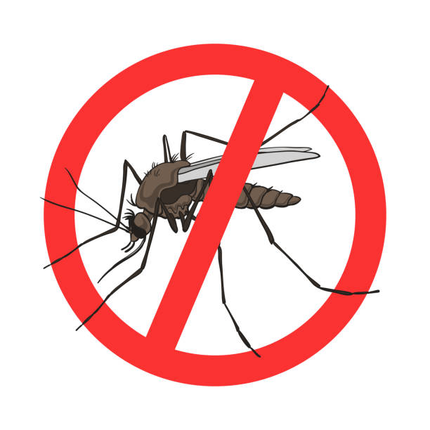 ❌🦟Say Goodbye to Mosquitoes for Good – The Ultimate USB Solution! 🦟❌ 💥899sh 💥